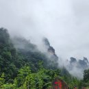 킹여행사(주) 이미지