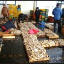 대천항 활어판매장 이미지