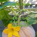 역시 세월앞에 장사 없고, 영원한건 없는듯 ㅎ 이미지