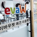 애견미용사 3급 자격증 과정 2 이미지