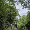 세종 쉼 정신건강의학과의원 | 8월 당뇨.신장 캠프 후기 – 내 안의 치유력을 깨우다