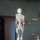 어반피트 이미지