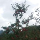 뫼와구름골 이미지