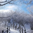 덕유산행정사사무소 이미지