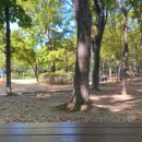 (주)이마트 양재점 이미지