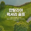 럭셔리 이미지
