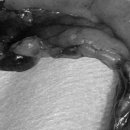 제주오름동물병원 이미지