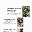 초화플라워