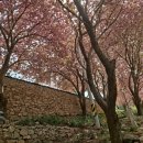 와룡산청룡사앞 이미지