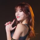 몬스터짐휘트니스 이미지