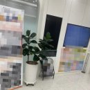 효성마디재활의학과의원 이미지