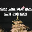 도지 | 교토 도지 라이트업 야경 벚꽃 맛집 다녀온 후기 및 꿀팁