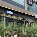 1132 | [광교|상현] 식사부터 안주까지 다 맛있는 광교술집 주주1132