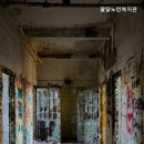 팔달노인복지관 이미지