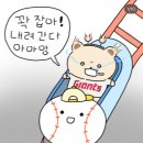 잠실야구장 방문 후기_중앙 네이비석 316블럭