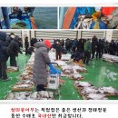 섬마을어부 이미지