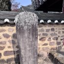 동곡16-2 농로 | 조선의 학문부터 통일신라의 흔적까지, 영양향교와 용화리 삼층석탑 문화유적 탐방기