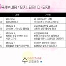 돼지되지 이미지