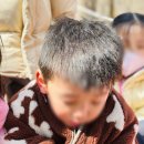 윤희유치원 이미지