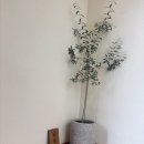 서면전포 라뮤아네일, 유지력+디자인 다 잡은 부산 네일샵