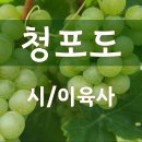 [시낭송]청포도#이육사(낭송:봉경미/음악:손방원팬플룻)명시, 민족시, 애국시, 애송시, 이미지