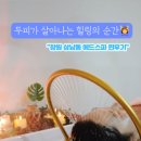 플러스뷰티앤테라피