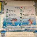 바다사랑회포차 | 강서 화곡 대방어 맛집 내 돈 내산 후기 | 바다사랑회포차 예약 방법까지 알려드릴게요