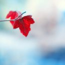 생활일본어(초급반) 이미지