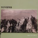 국립고궁박물관ㆍ창덕궁 희정당 벽화 특별전