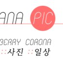 커피그래비티모다