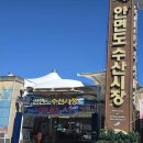 안면도수산시장 이미지