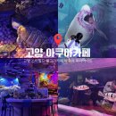 고양 스타필드 물고기 카페 후기! 아이랑 힐링 가족 데이트 추천