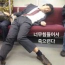 이가빈 | 기록