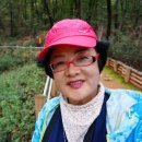 구름산산림욕장 Daum카페