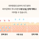 원진환경 이미지