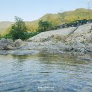 어성전야영장 이미지