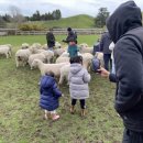 호기농장 이미지