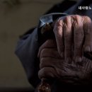 새사랑요양센터 이미지