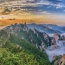 대동사거리 파리바게트 앞 이미지