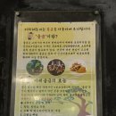 해돈지