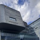 부대초등학교 | 게양대 줄 교체