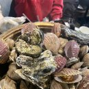 고하대로 | 광주 근교 목포 여행 조개찜 광어회 술집 맛집 포차목포대교 솔직후기