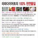 라파헬스