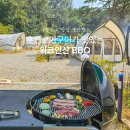 안산 바베큐장 워크안산BBQ 후기 당일 서울근교캠핑장 추천
