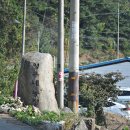 영우농장2 이미지