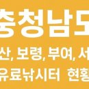 원산도 선촌 해양낚시터 | 충남 금산군, 보령시, 부여군, 서천군, 홍성군 유료낚시터 현황(25.4월 현재 / 전수)