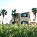 오렌지빌 이미지