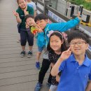 에스 태권도장 이미지