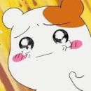 더미즈병원 이미지