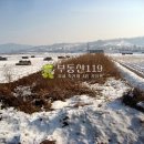 공세리농장 이미지